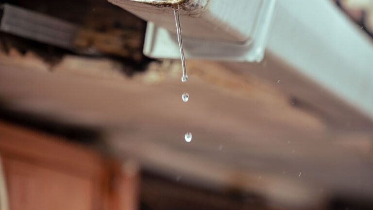 Close-up of a white gutter and downspout on a house exterior with water droplets.
