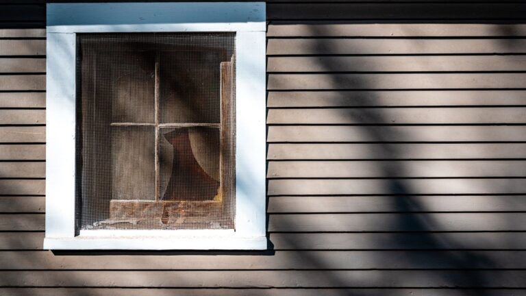 Weathered house siding wall with a sun-faded, dusty finish around a screened window.